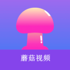 WWW,381av·COM网站APPAPP应用